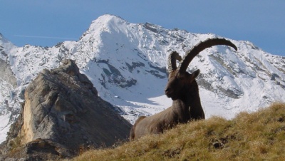 Le divinità della montagna