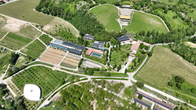 Orsolina28 Art Foundation 