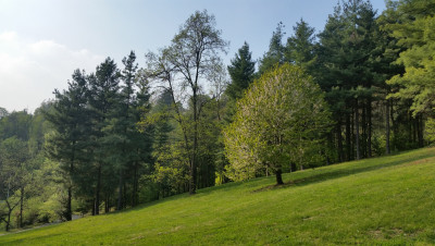 Villa privata #5222