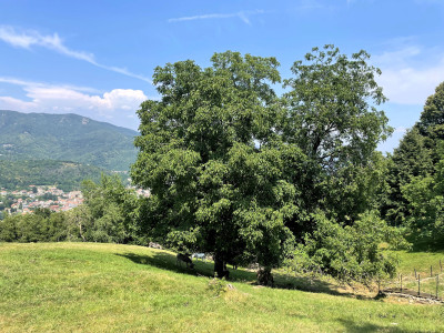 Borgata Ciandet