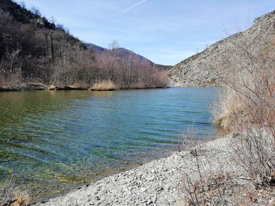 Pineta