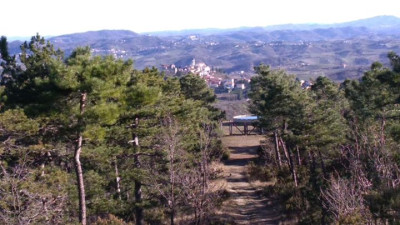 Pineta