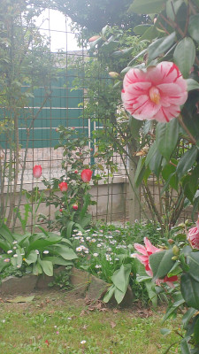 Giardino privato #5271