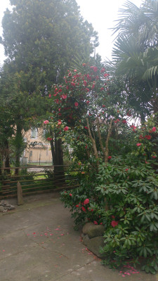 Giardino privato #5271