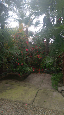 Giardino privato #5271