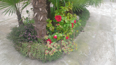 Giardino privato #5271