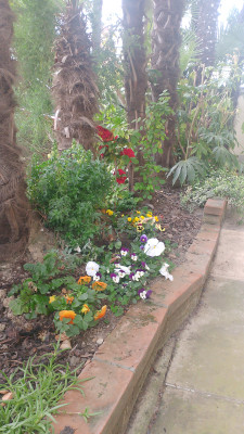 Giardino privato #5271