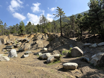 Area Trial
