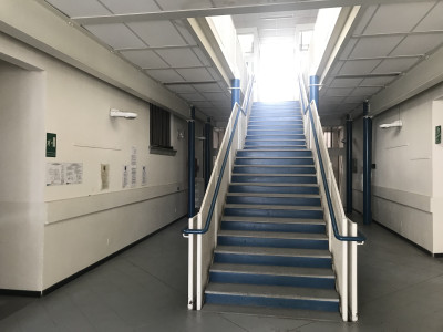 Ex Tribunale