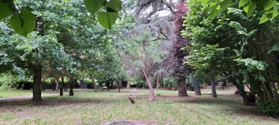Villa privata #5281