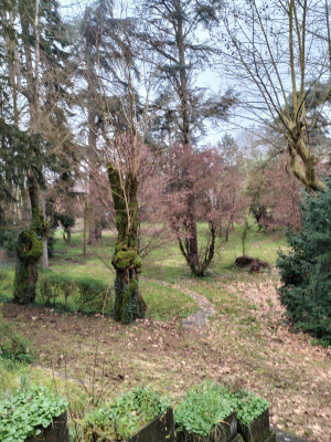 Villa privata #5281