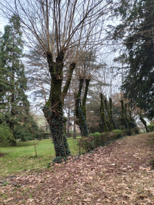 Villa privata #5281