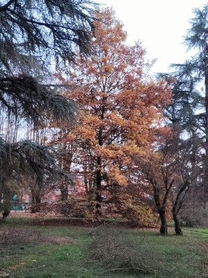Villa privata #5281