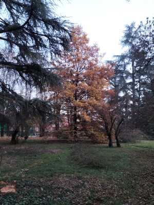 Villa privata #5281