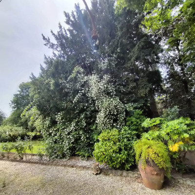 Villa privata #5281