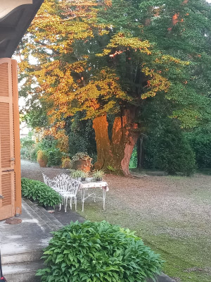 Villa privata #5281