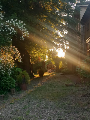 Villa privata #5281