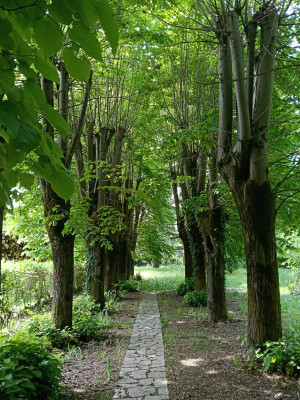 Villa privata #5281