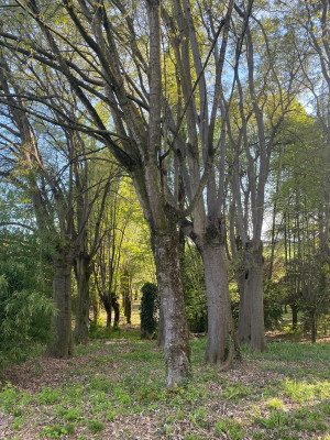 Villa privata #5281