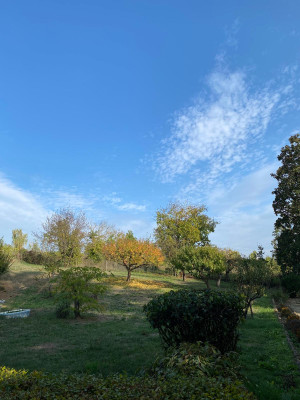 Villa privata #5281
