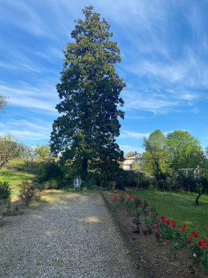 Villa privata #5281