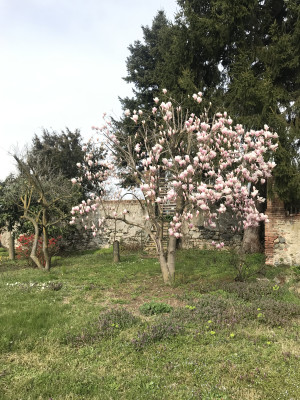 Cascina privata #5290