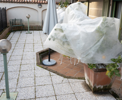 Villa privata #5298