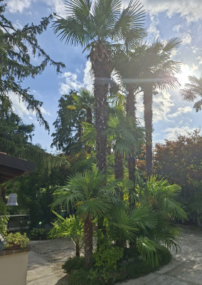 Giardino privato #5271