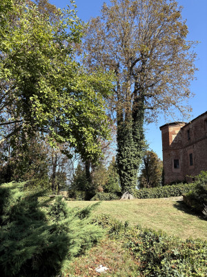 Torre Valgorrera
