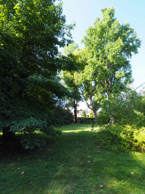 Villa privata #5305