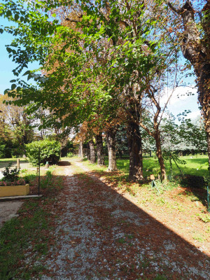 Villa privata #5305