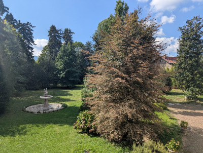 Villa privata #5305