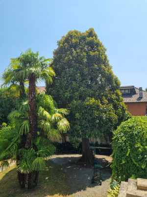 Villa privata #5306