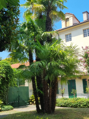 Villa privata #5306