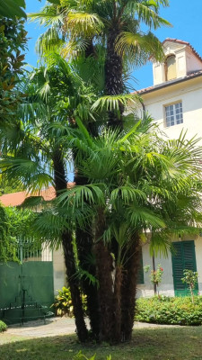 Villa privata #5306