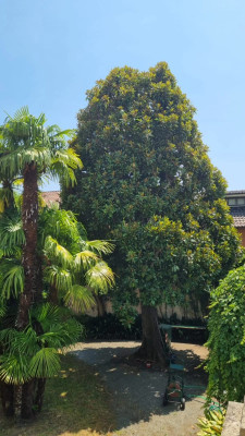 Villa privata #5306