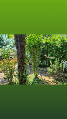 Villa privata #5306