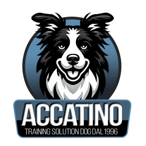 Logo Accatino Trainer Solution Dog